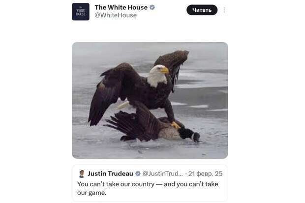 Белый дом картинкой с птицами высмеял Канаду после проигрыша на Олимпиаде