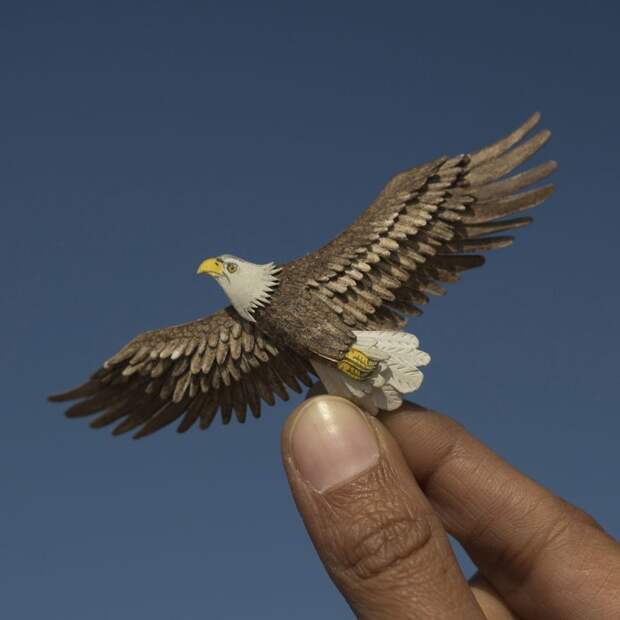 Белоголовый орлан бумажные фигурки, искусство, красиво, миниатюра, птицы, резьба, творчество, фото