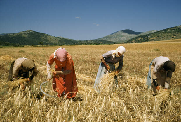 1956 Greece by Franc and Jean Shore.jpg