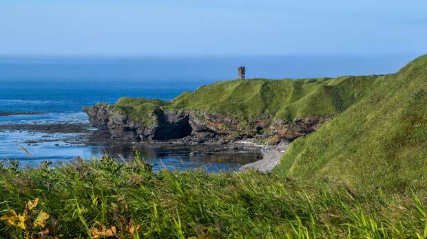 Хотим дружить с Россией: японские дети пошли против пропаганды Токио