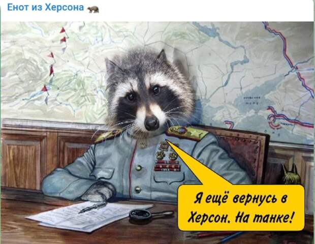 Судьба енота