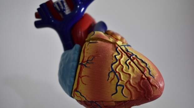 Одышка и дискомфорт в груди могут указывать на проблемы с сердцем
