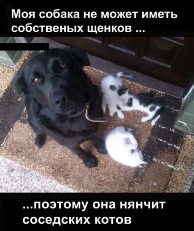 Прикольные картинки Прикольные картинки