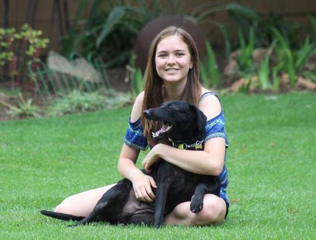 Девушка спасла собаку, которую живьем пожирали полчища клещей
