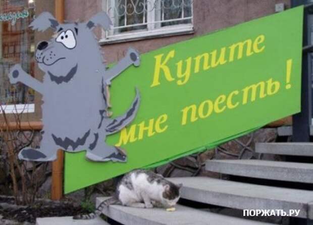 Приколы смешные картинки и рисунки.