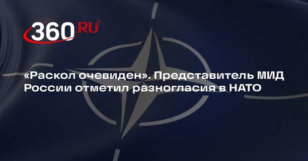 В МИД России указали на очевидный раскол в НАТО