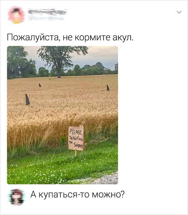 polzovateley-sarkastichnyh-socsetey-citaty-vkontakte-vkontakte-smeshnye-statusy
