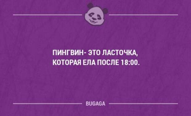 Прикольные фразы и забавные мысли. Часть 74 (16 шт)