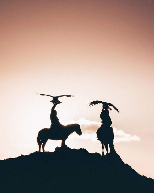 Союз человека и птицы: 7 потрясающих фотографий соколиной охоты в Монголии