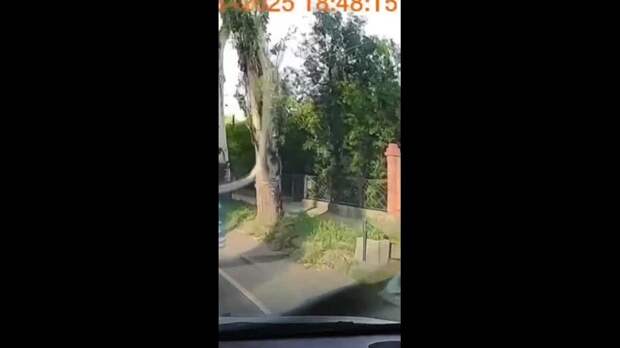 Video: com.bongasoft.addremovewatermark_IMG_3844.MP4