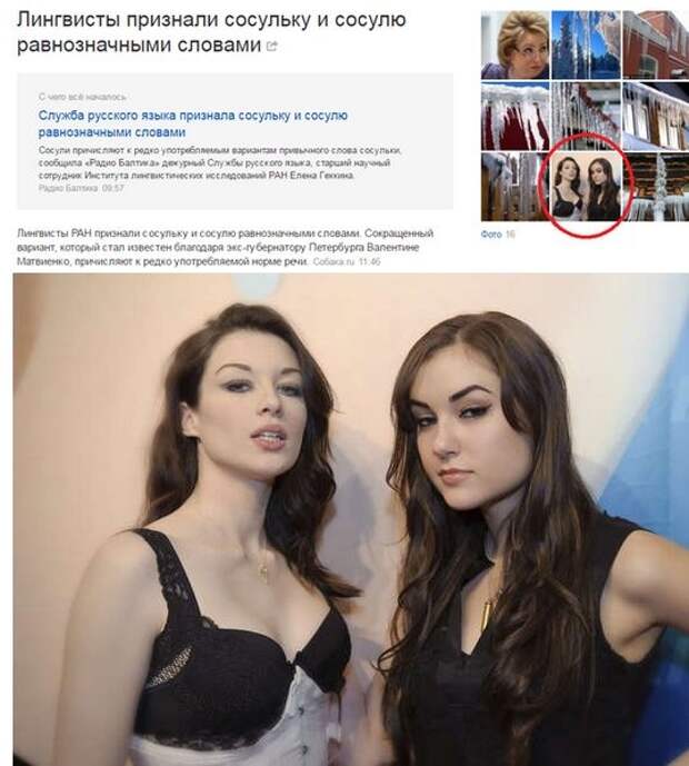 Прикольные картинки