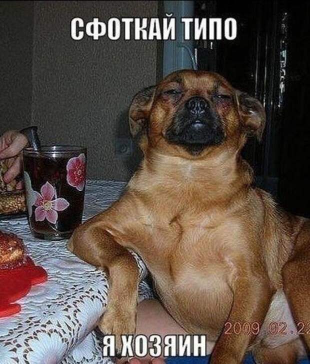 Похожее изображение