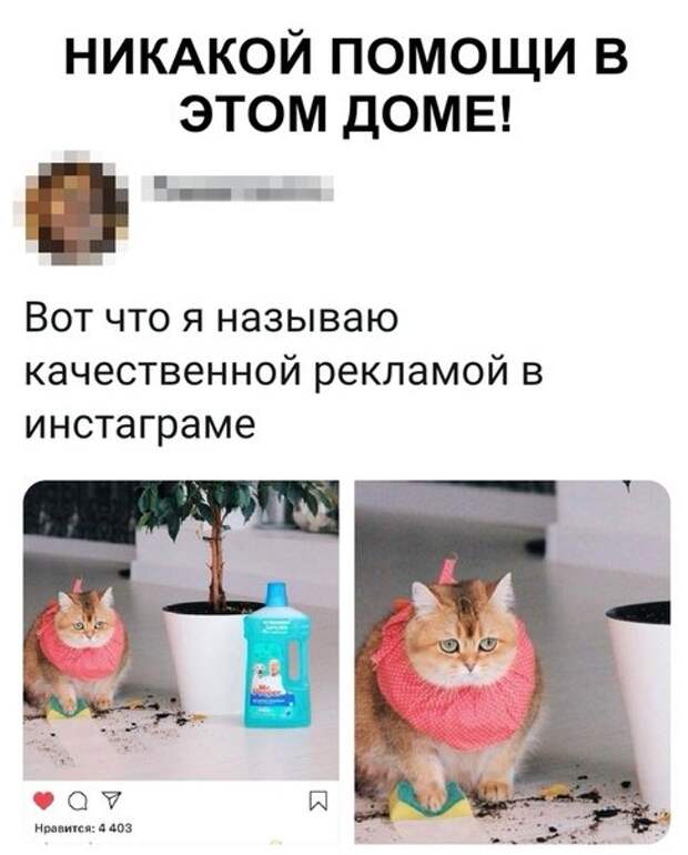 Всякости из ваших энторнетов