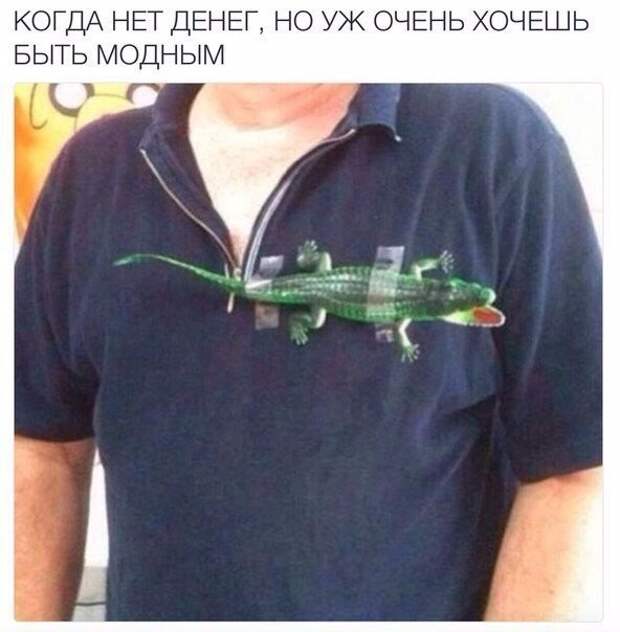 Смешные картинки с надписями прикол, юмор