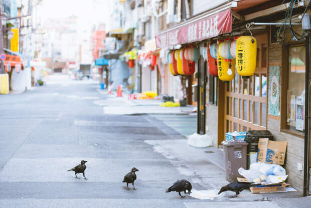 japan-street-photography-50-580888dd4265f__880