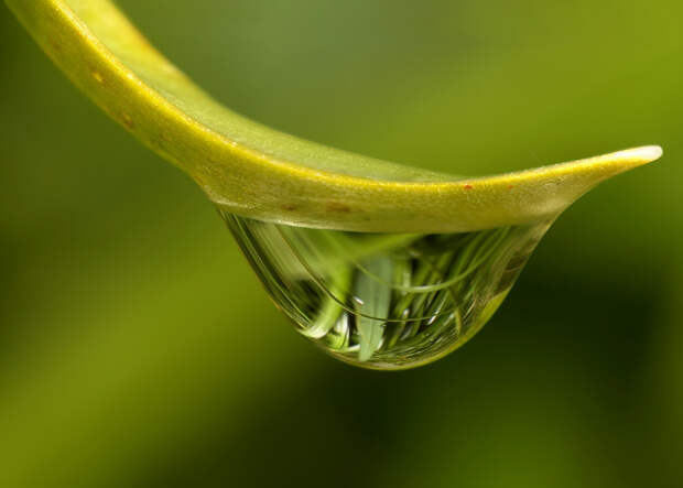 Фотографии капель воды