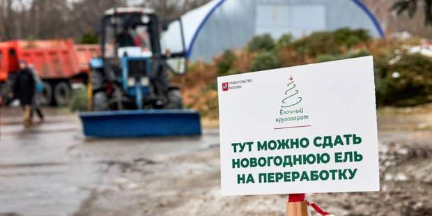 елочный круговорот 2312.jpg