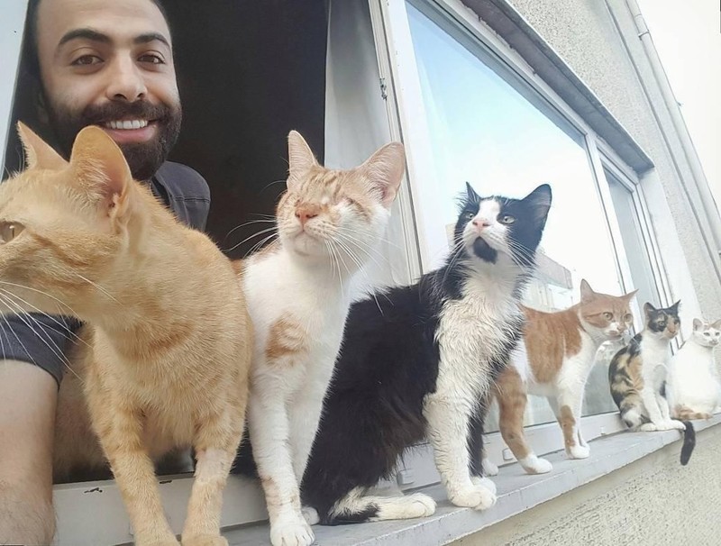 Котики тянутся к хорошим людям! Котики тянутся к хорошим людям! в мире, видео, животные, кот, коты, пианист, реакция, турция