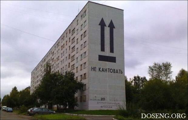 Прикольные картинки