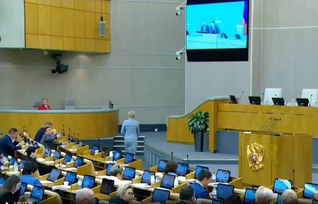 Скриншот с заседания Госдумы.