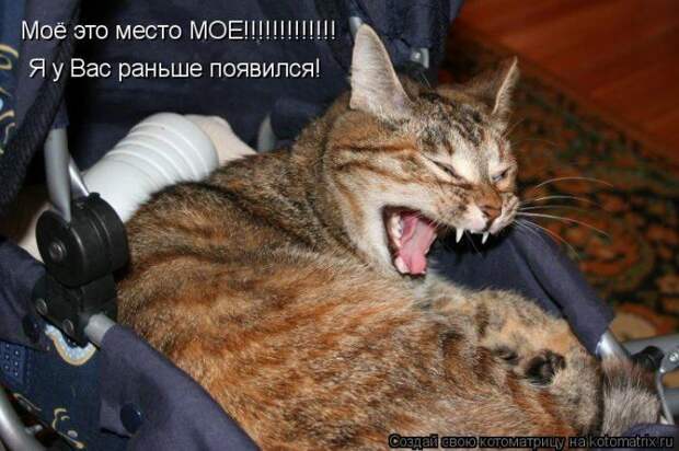 Мысли вслух :)