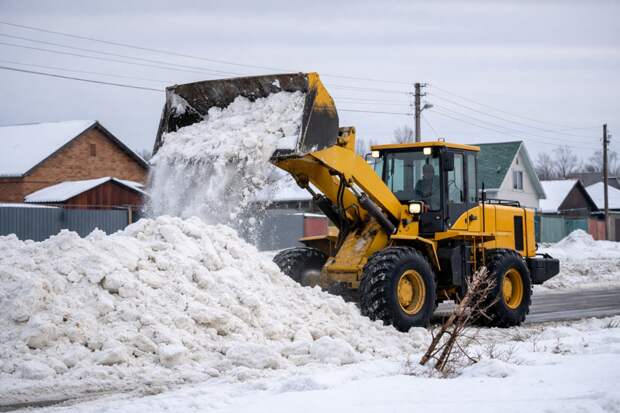 Карагандинцы пожаловались на коммунальщиков после сброса снега на саженцы
