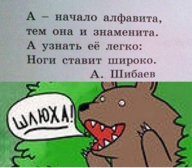 Фотоприколы по всем правилам!