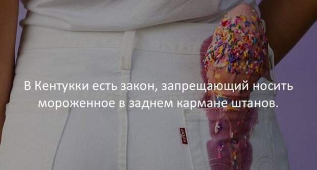 Интересные факты для любознательных (30 картинок)