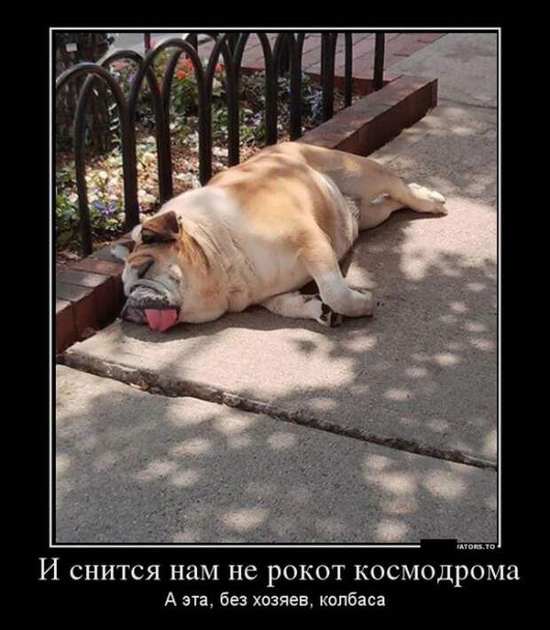 Позитивные и веселые демотиваторы на выходные (11 фото) Позитивные и веселые демотиваторы на выходные (11 фото)