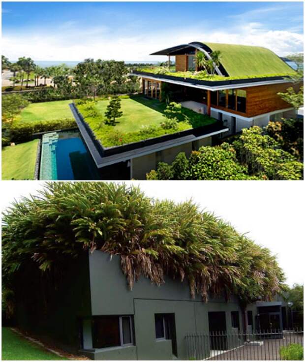 С развитием технологий, облегчающих конструкцию и уход за растениями, зеленые крыши становятся популярными и в других странах мира.
