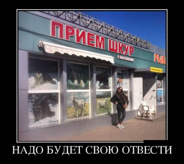 Демотиваторы (30 фото)