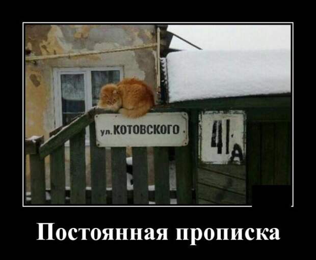 www.vsyako.net