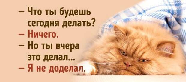 Несколько задорных открыток с отборным юмором