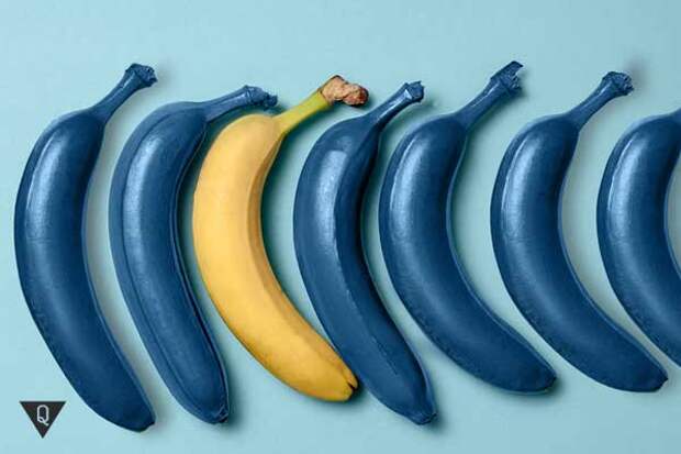Синие бананы и один желтый на столе голубого цвета