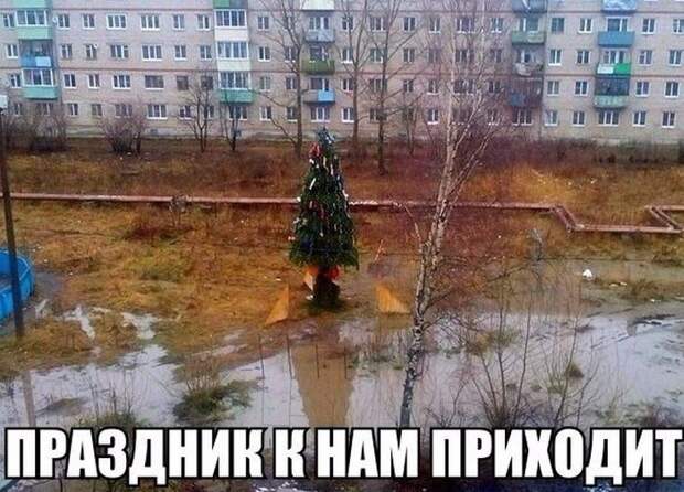 Прикольные фото уходящего года! приколы, фото, юмор