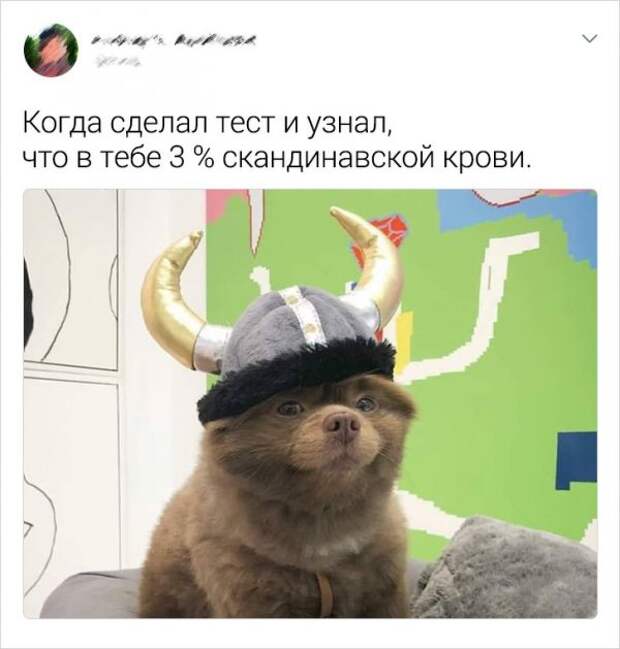 tvitov-zabavnyh-podborka-citaty-vkontakte-vkontakte-smeshnye-statusy