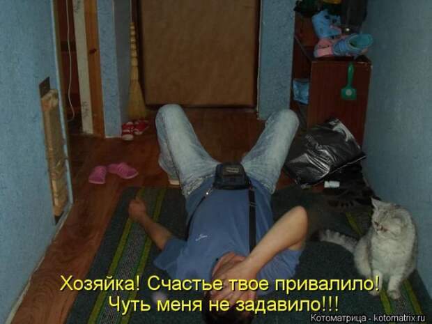 Лучшие котоматрицы недели Лучшие котоматрицы недели