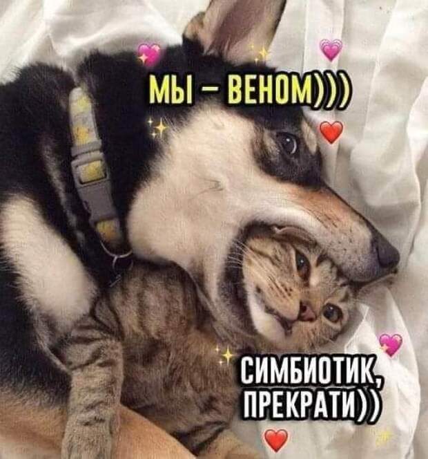 20 достойных внимания шуточек из наших соцсетей 20 достойных внимания шуточек из наших соцсетей