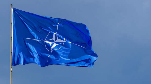 Пушков: трещины внутри НАТО достигли беспрецедентной в истории глубины