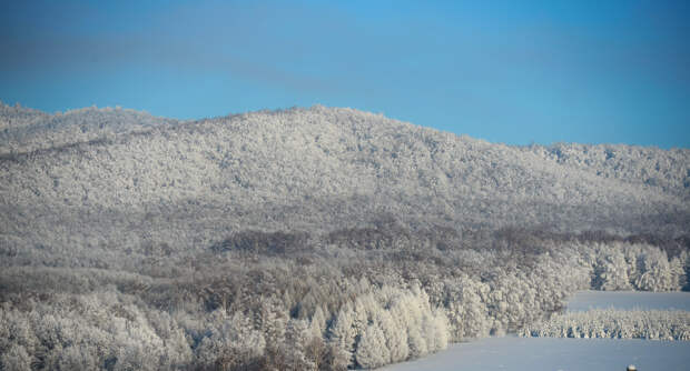Красноярские спасатели ведут масштабные поиски потерявшегося в нацпарке "Столбы" мужчины