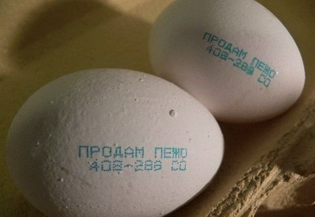 Все яйца в одном посте!
