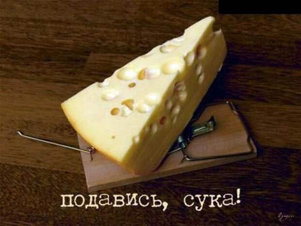 Ассорти II Ассорти II