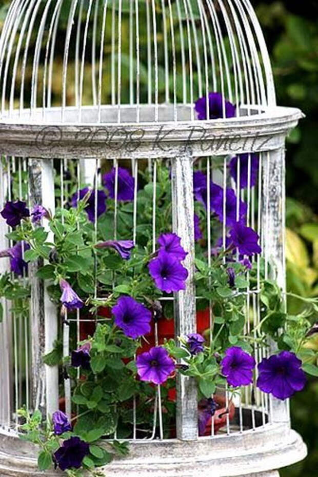 flowers-in-bird-cages-ideas1-2-5 (400x600, 299Kb)