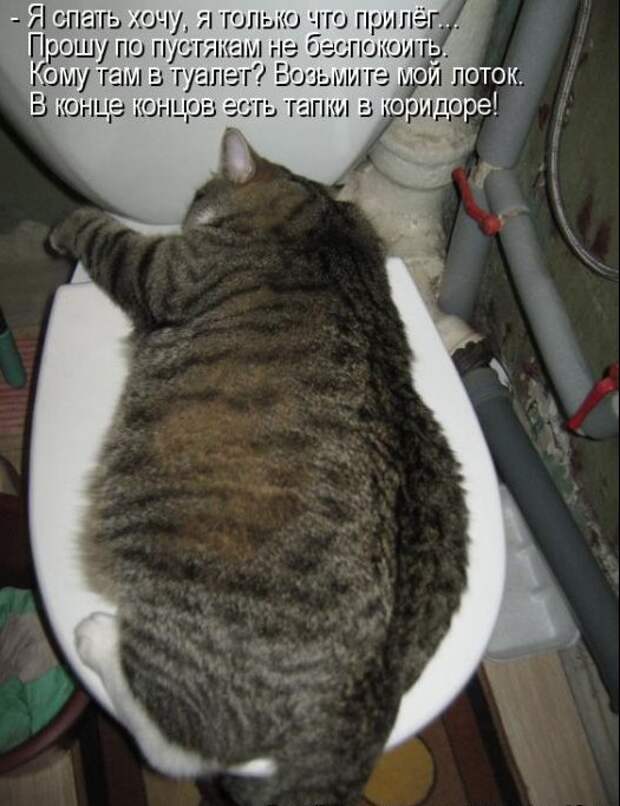 01cc0bfce2ce47b497092af5f59