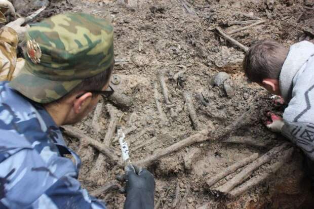 Найдено неучтенное захоронение 153 советских бойцов в поселковом парке война, история, факты