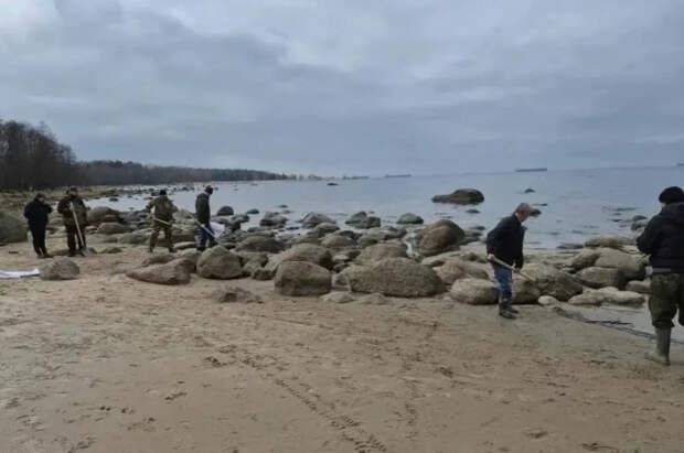 В Ленобласти устраняют скопление нефтепродуктов на берегу Финского залива