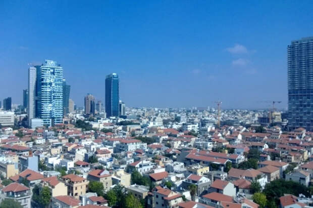 Jerusalem Post: В Израиле подтвержден первый случай хантавируса