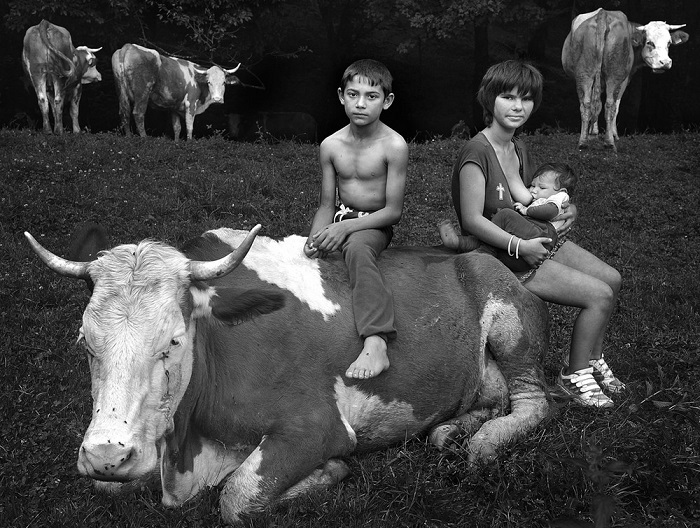 2-е место в категории «Люди» присуждено венгерскому фотографу Иштвану Керексу (Istvan Kerekes), запечатлевшему пастухов со стадом коров на лесной поляне. 2-е место в категории «Люди» присуждено венгерскому фотографу Иштвану Керексу (Istvan Kerekes), запечатлевшему пастухов со стадом коров на лесной поляне.