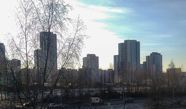 Мэрия назвала причины масштабной вырубки леса в районе Петрозаводска