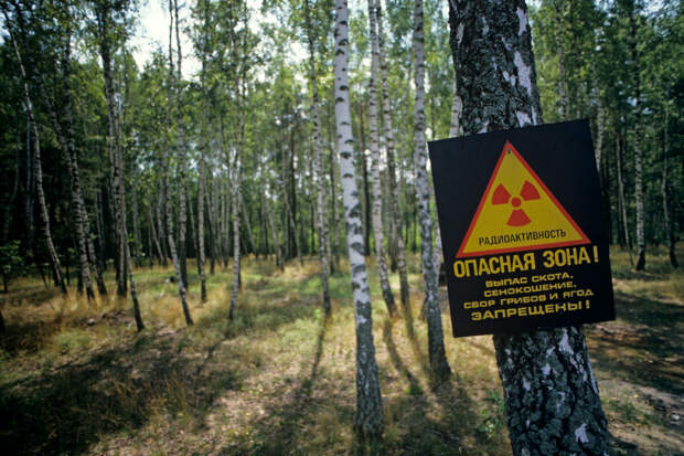 Работавшая в Чернобыле медсестра рассказала об ухудшении здоровья после родов